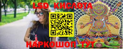 прущие грибы Моздок