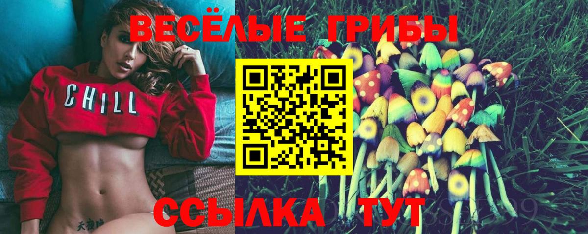 Галлюциногенные грибы MAGIC MUSHROOMS Долгопрудный