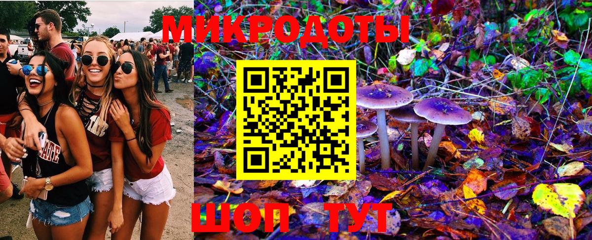Псилоцибиновые грибы Psilocybine cubensis  купить наркоту  Долгопрудный  Вход с VPN  Псилоцибиновые грибы прущие грибы 