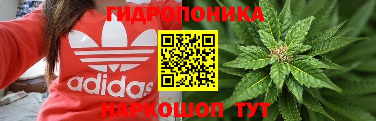 МАРИХУАНА план Долгопрудный